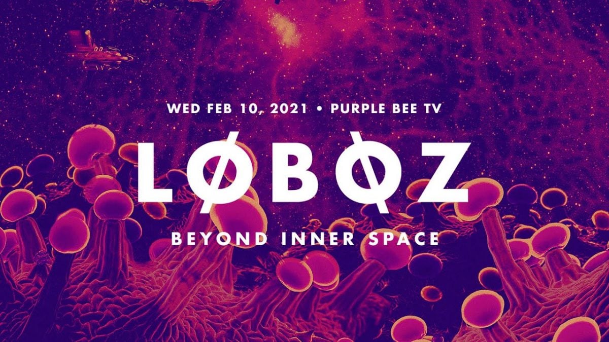 LoBoZ • Beyond Inner Space