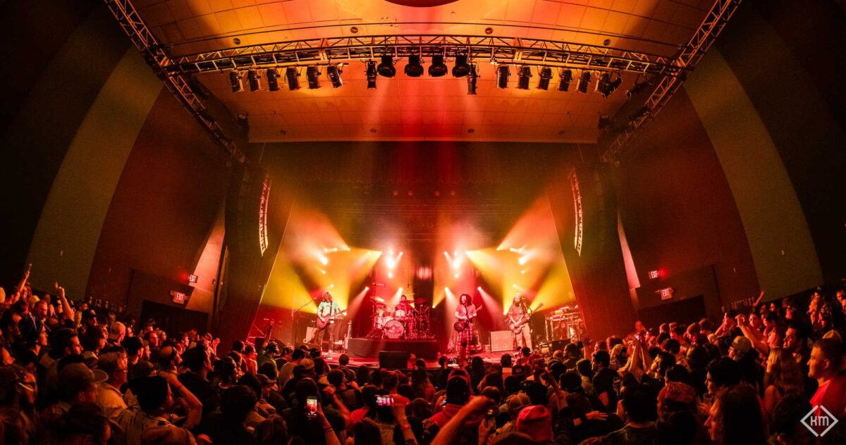 Pigeons Playing Ping Pong Live 2019