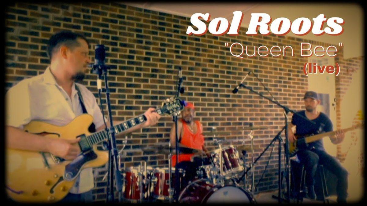 Sol Roots "Queen Bee" (live) quarantine live stream version