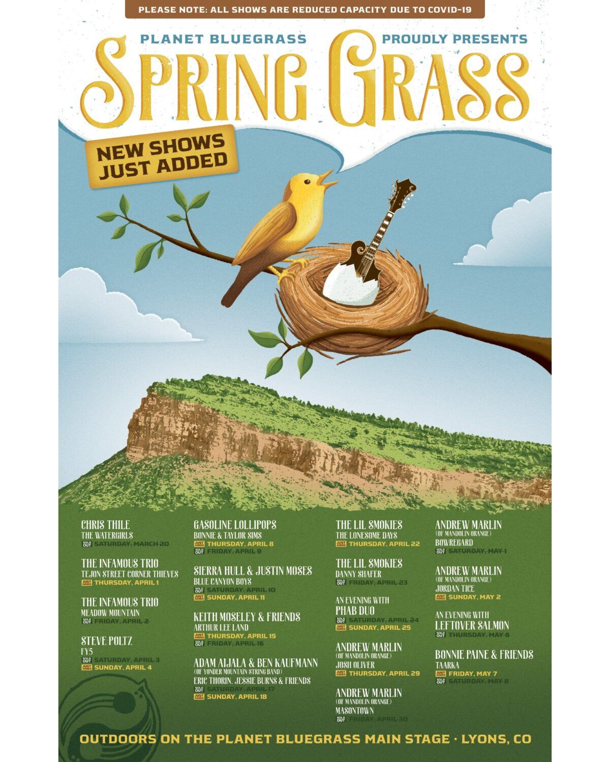 Spring Grass 21