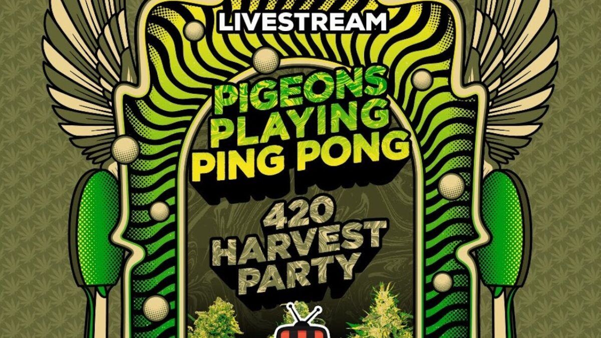 Pigeons Playing Ping Pong Announce ‘420 Harvest Party’ Livestream Special
