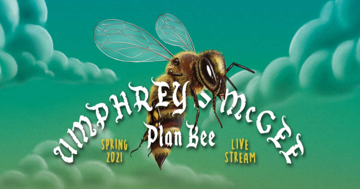 Umphreys McGee Plan Bee Livestreams