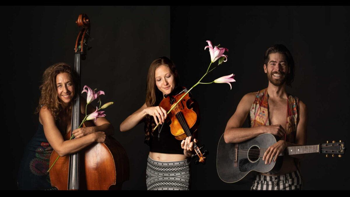 The Sweet Lillies