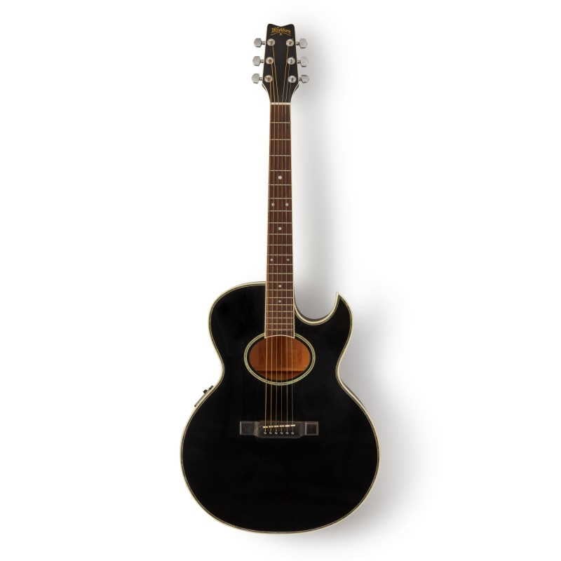 Bob Dylan Dead Guitar