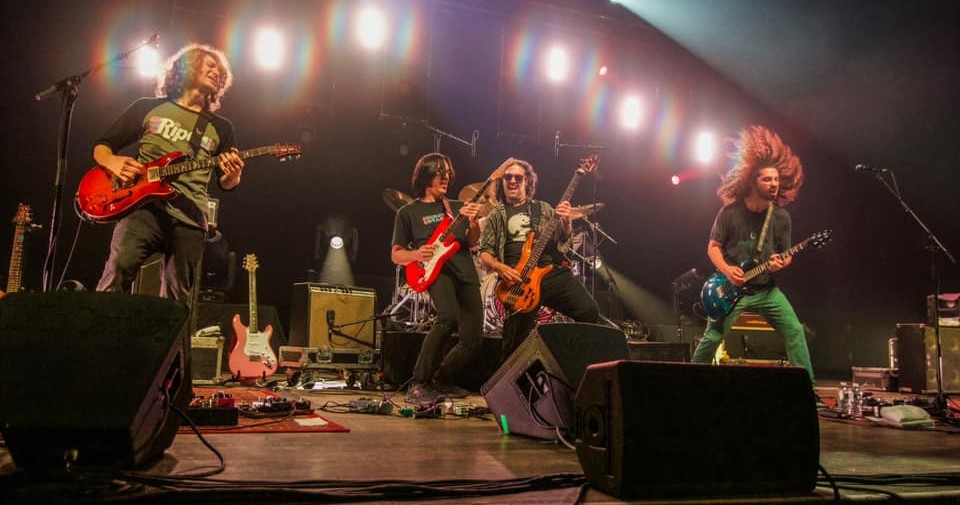 Pigeons Playing Tomo Fujita