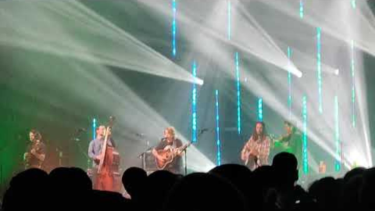 Billy Strings - Tennessee Stud