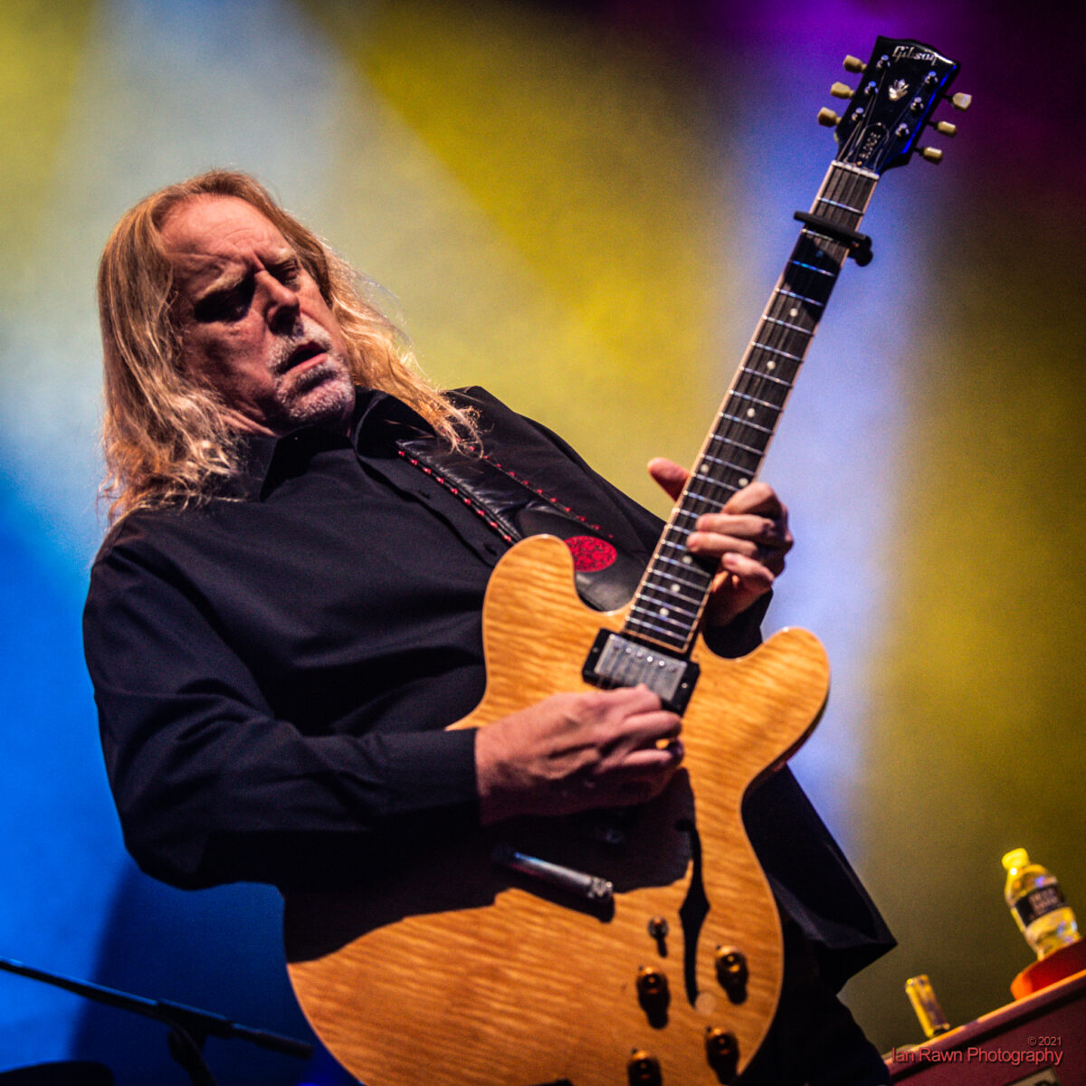 Warren Haynes Gov't Mule