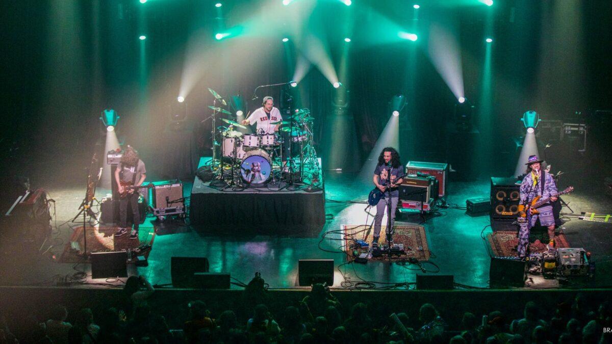 Pigeons Playing Ping Pong Honor Taylor Hawkins In Boston