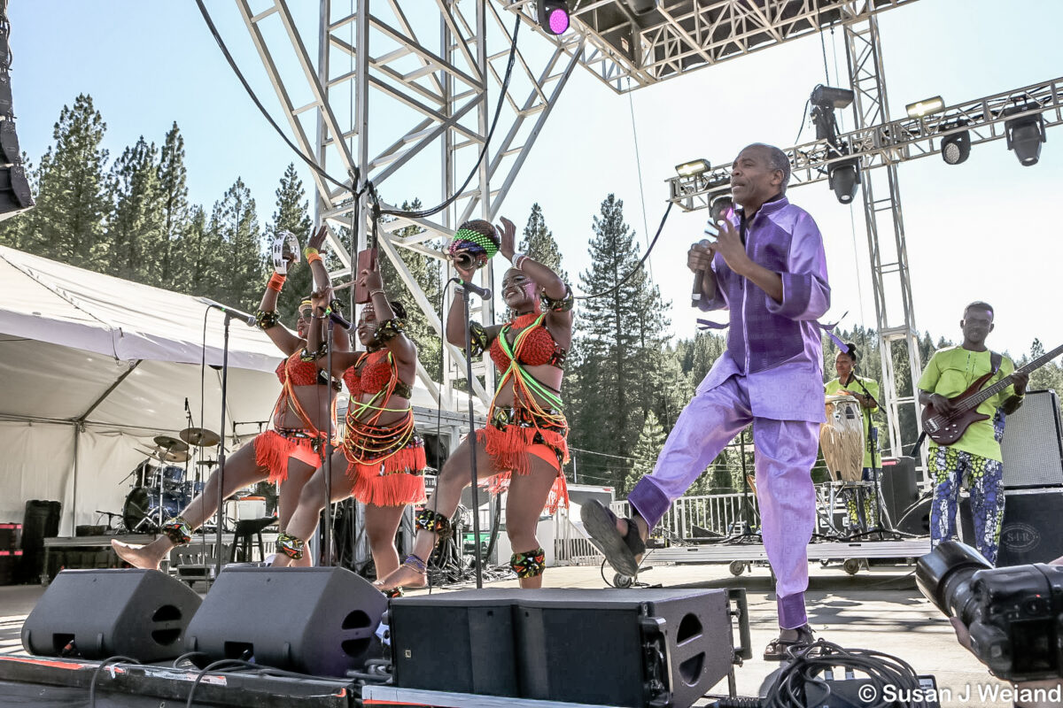 femi kuti0876