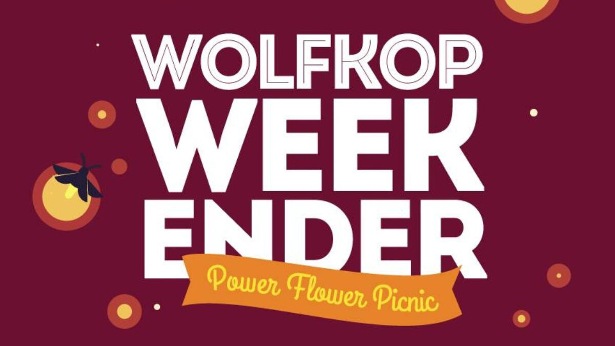 Wolfkop Weekender: Power Flower Picnic