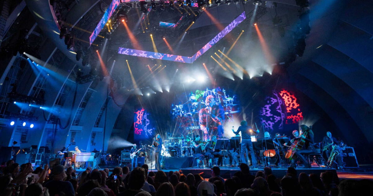 Dave Matthews Band String Section Hollywood Bowl