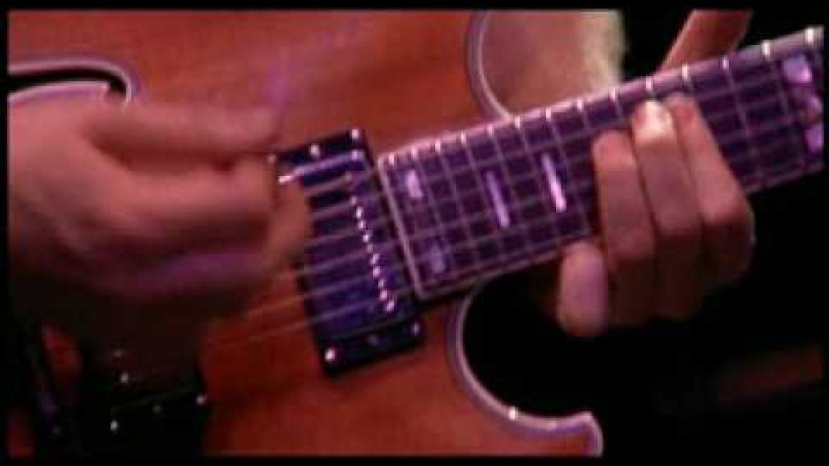 Phish - Roses Are Free