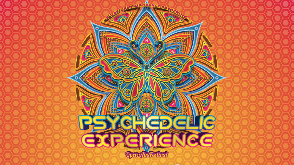 Psychedelic Experience