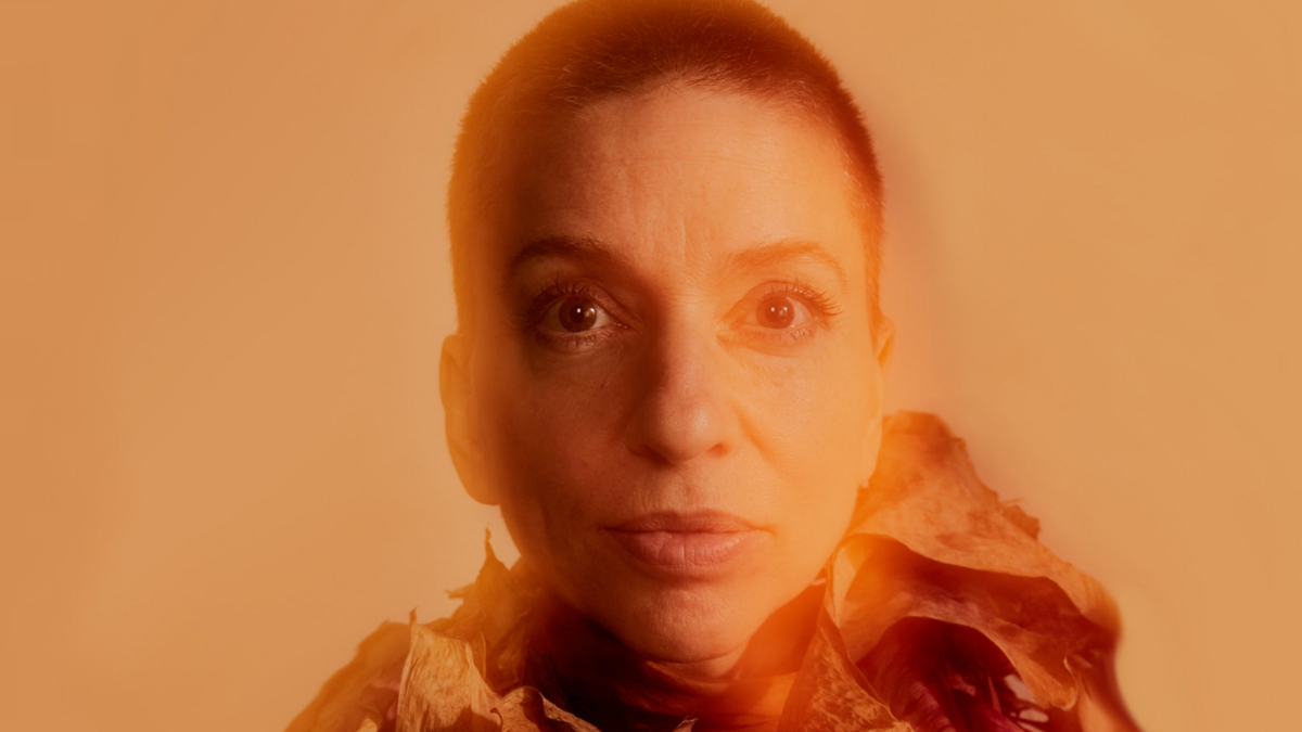 Ani DiFranco
