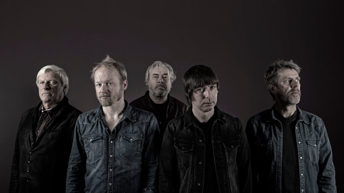 The Analogues