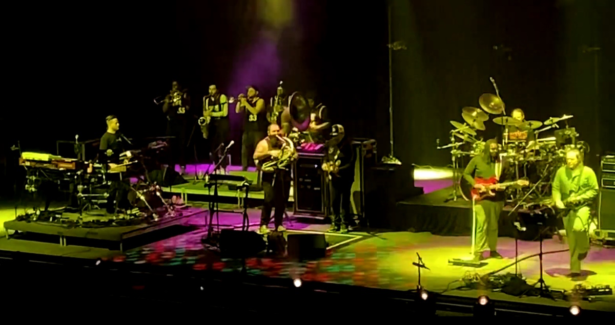 Disco Biscuits Snacktime Anthem