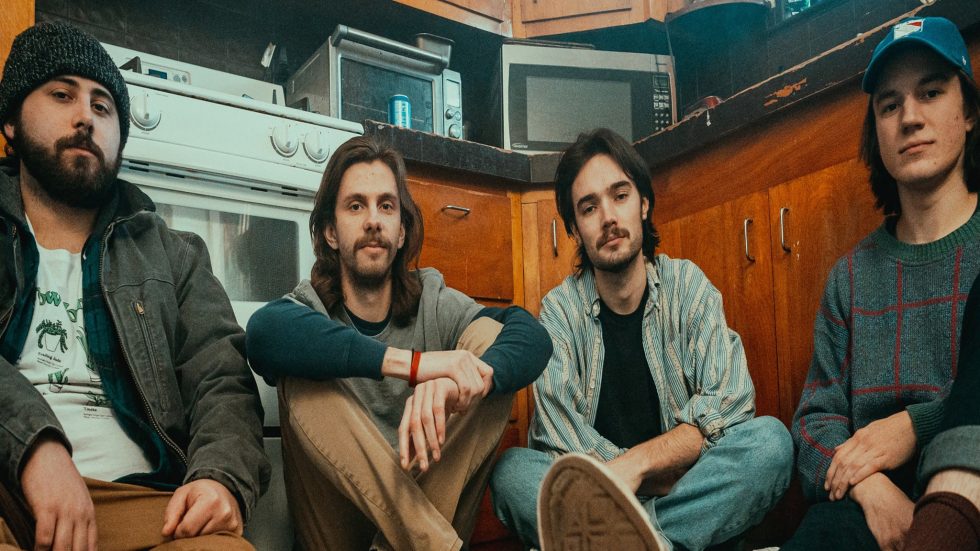 Flycatcher and Screenager