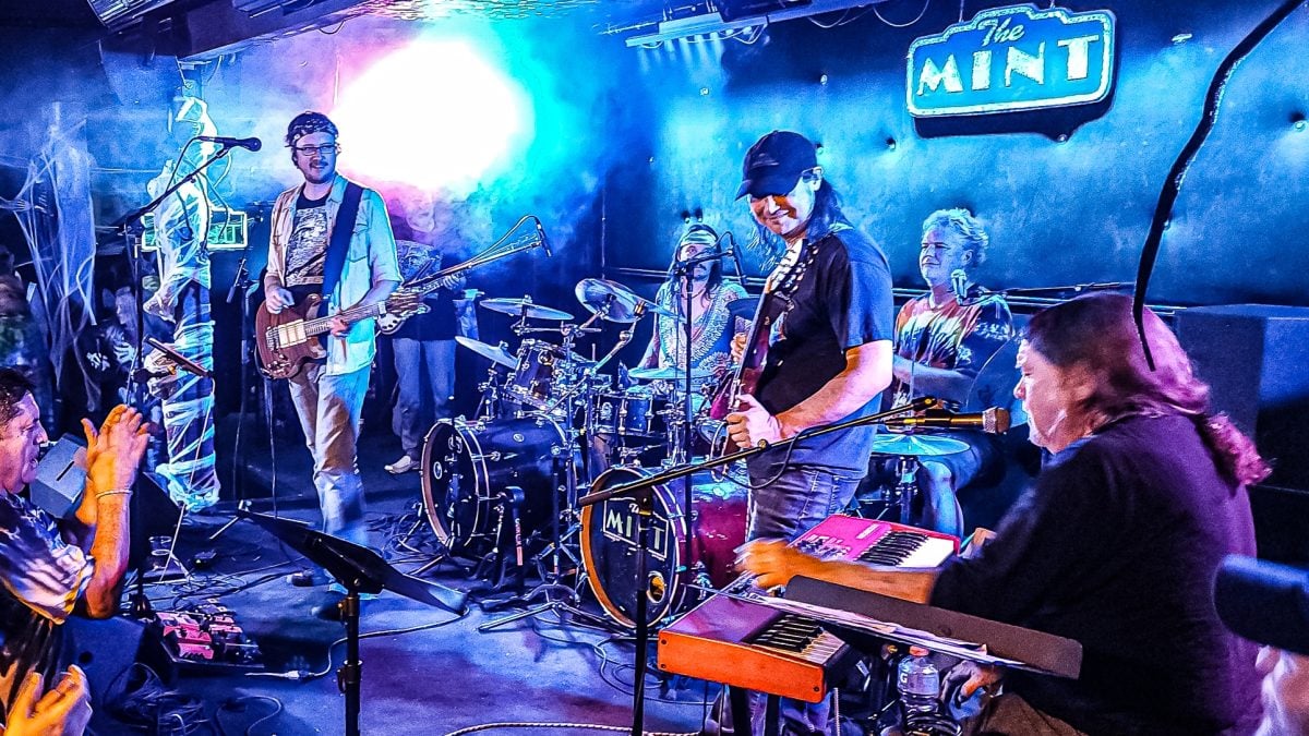 Cubensis