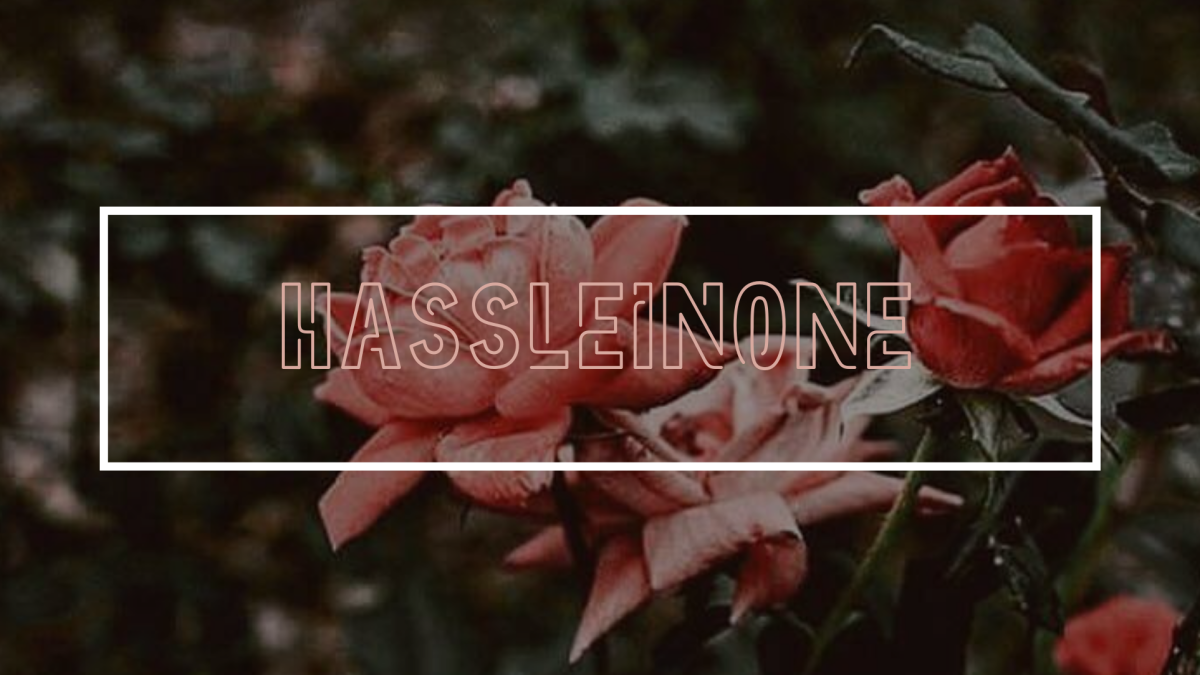 HassleInOne