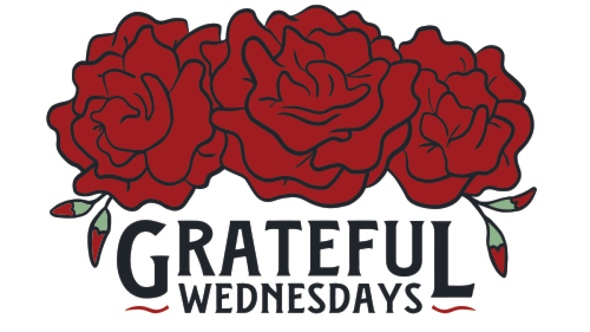 Josh Olken Chicago On Tour Brewing Jul 26, 2023