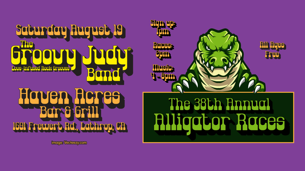 The Groovy Judy Band