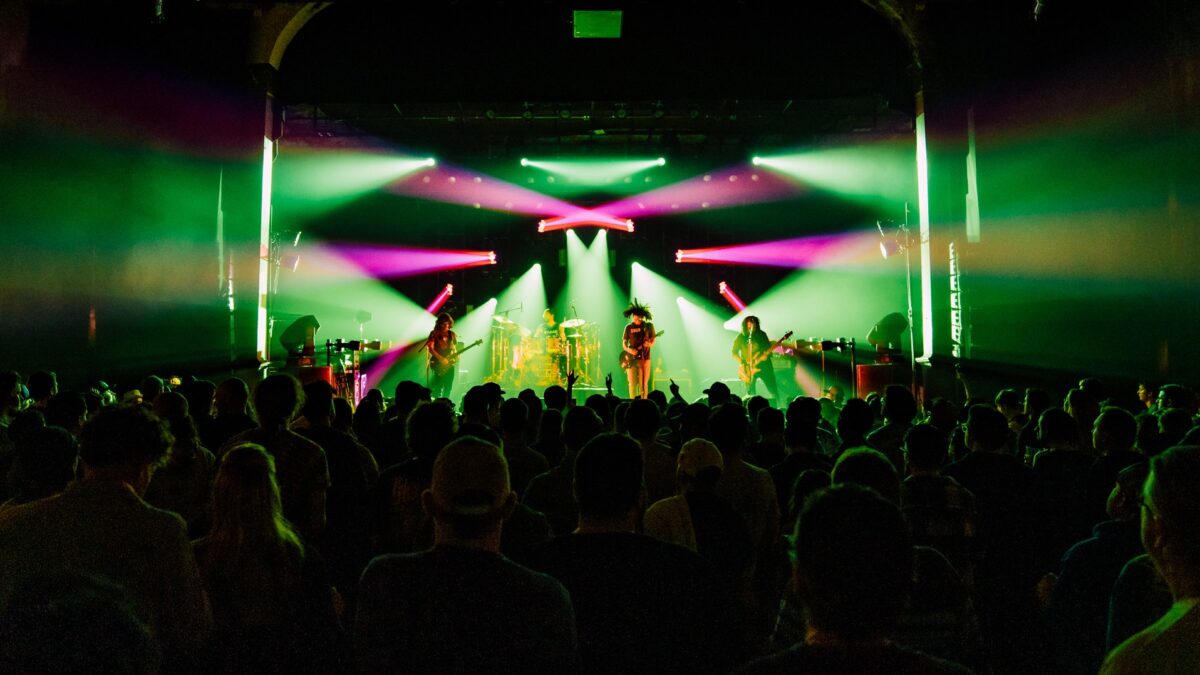 Pigeons Playing Ping Pong Flocking To Midwest In December