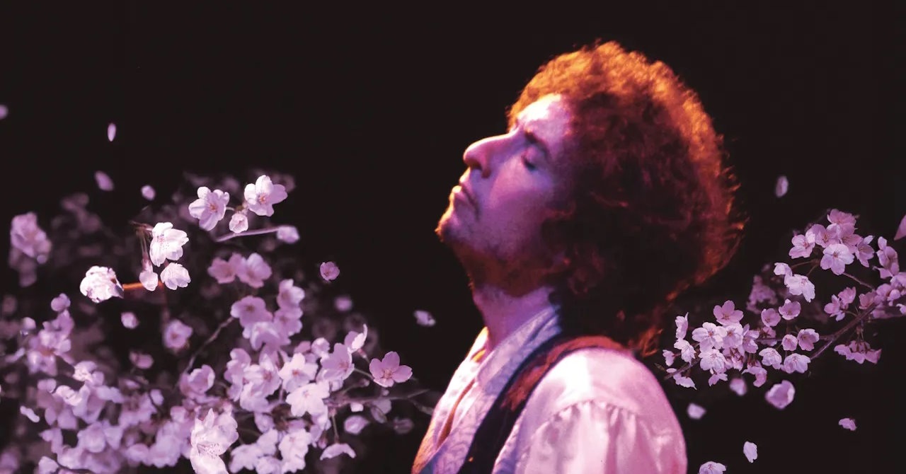 bob-dylan-complete-budokan-