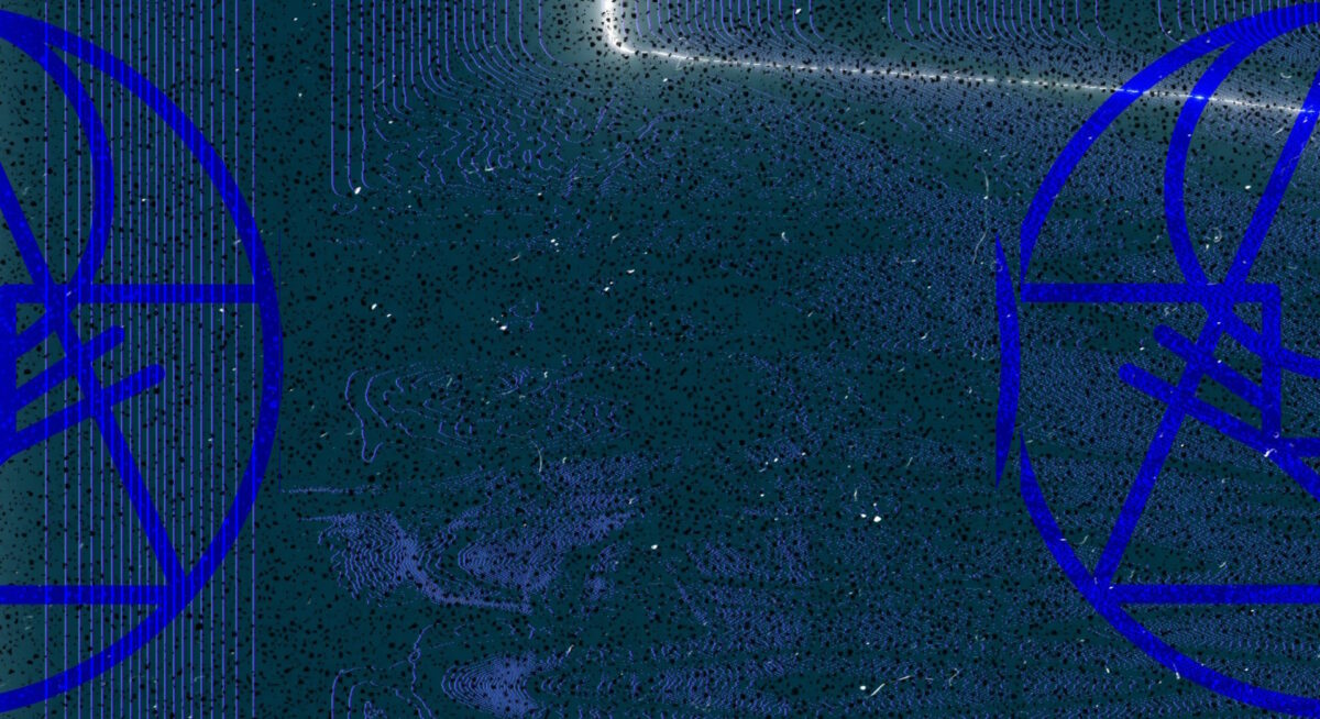 Goose Image January 2024