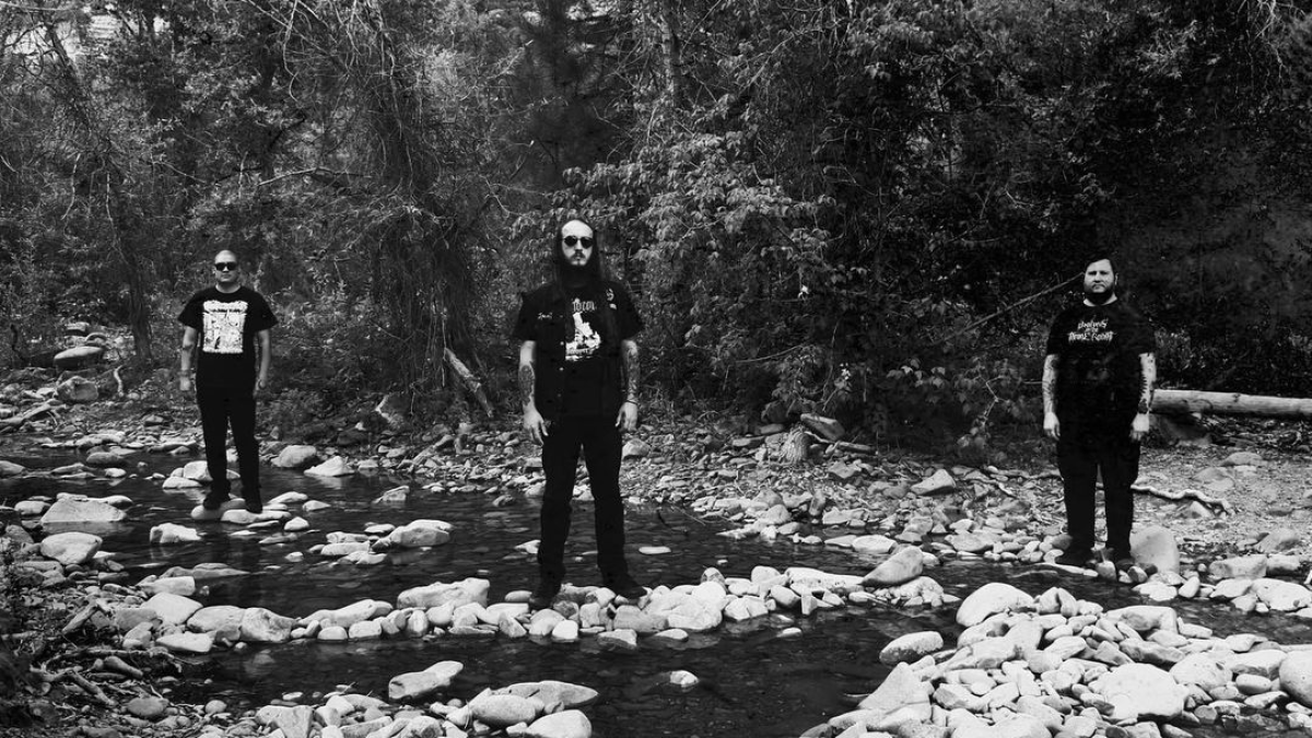 Suicide Forest