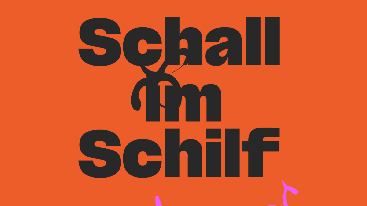 Schall im Schilf Open Air