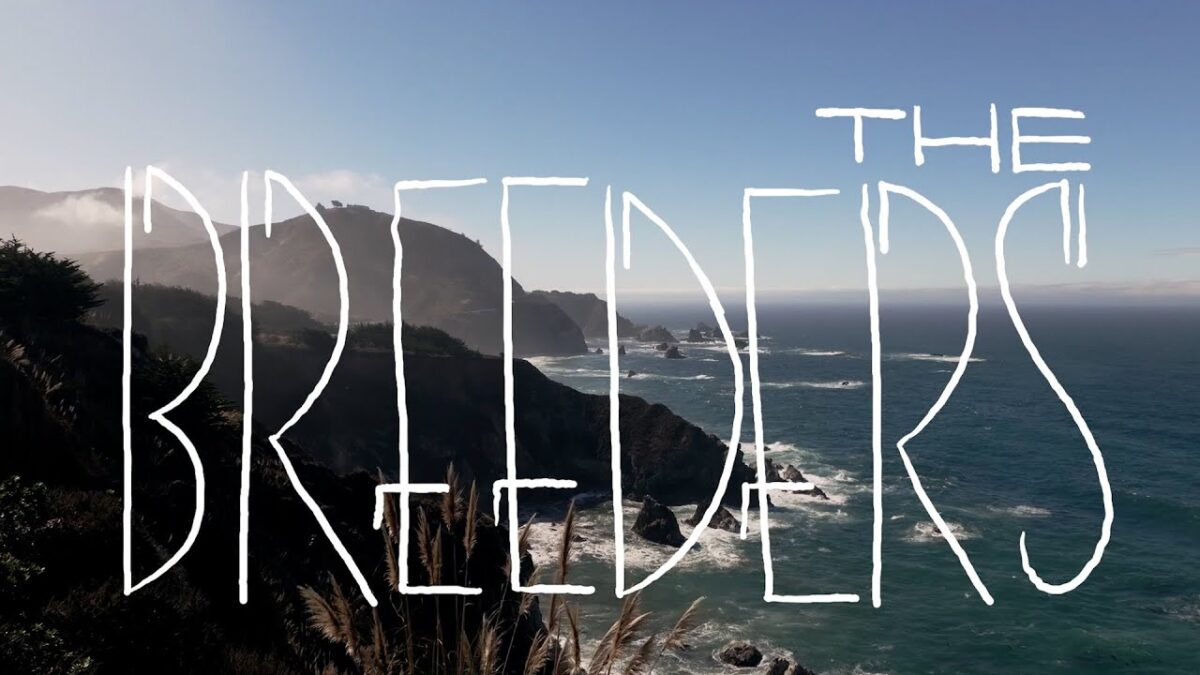 The Breeders - Live in Big Sur