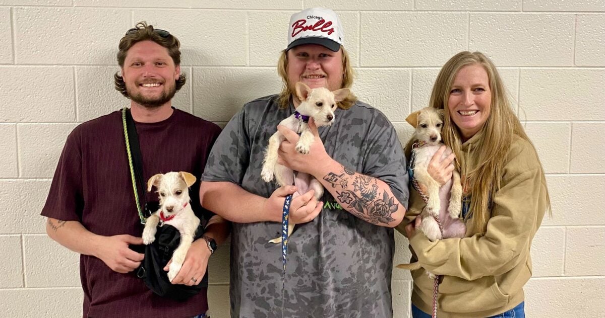 Tyler Childers road crew puppies