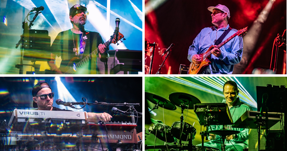 Disco Biscuits Biscoland 2024 Tara Gracer