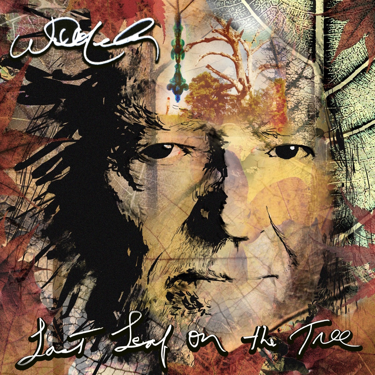 willie nelson last leaf on the tree