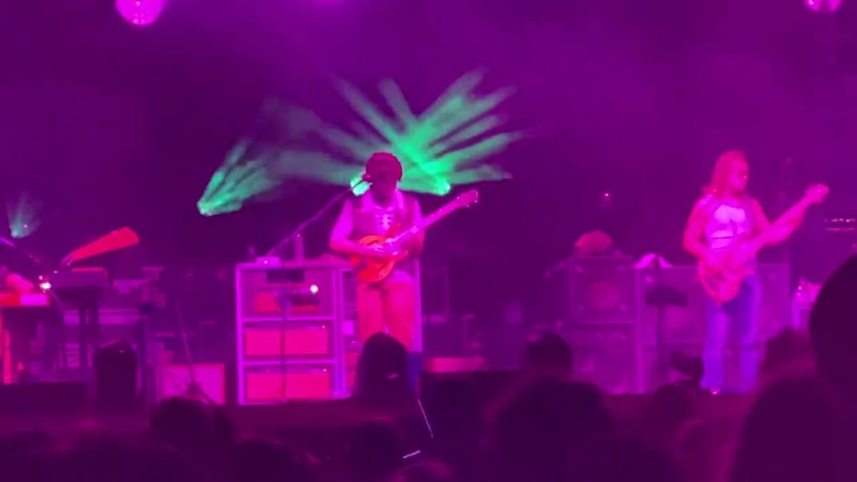Goose ~ Maniac ~ 10/31/24 St. Petersburg, FL