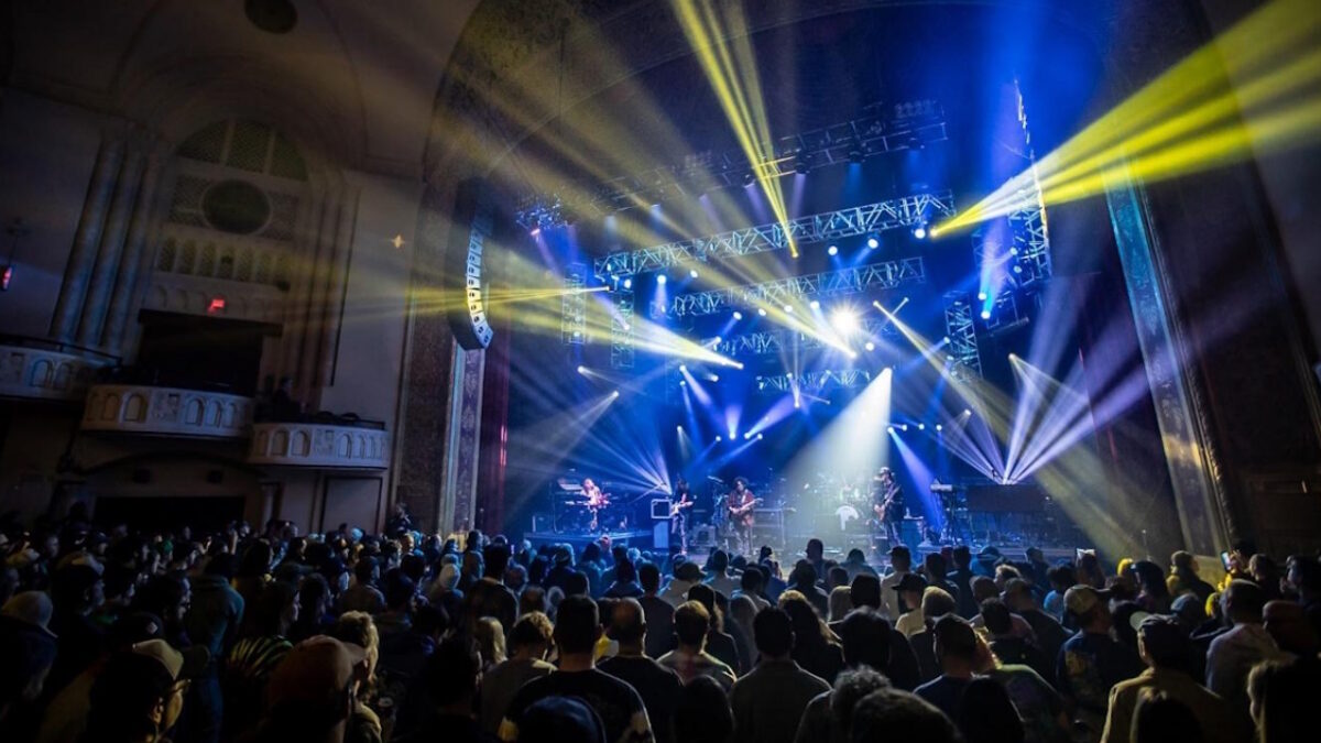 10 Things Dogs In A Pile Learned From Touring In 2024