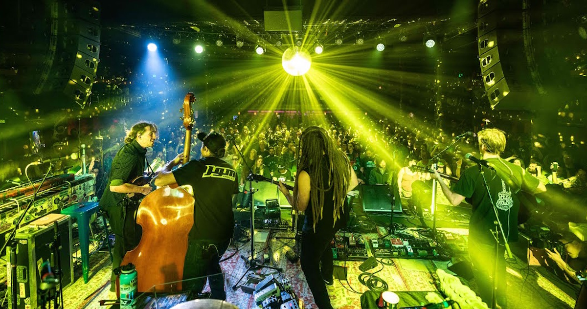 Kitchen Dwellers King Gizzard Cover Denver