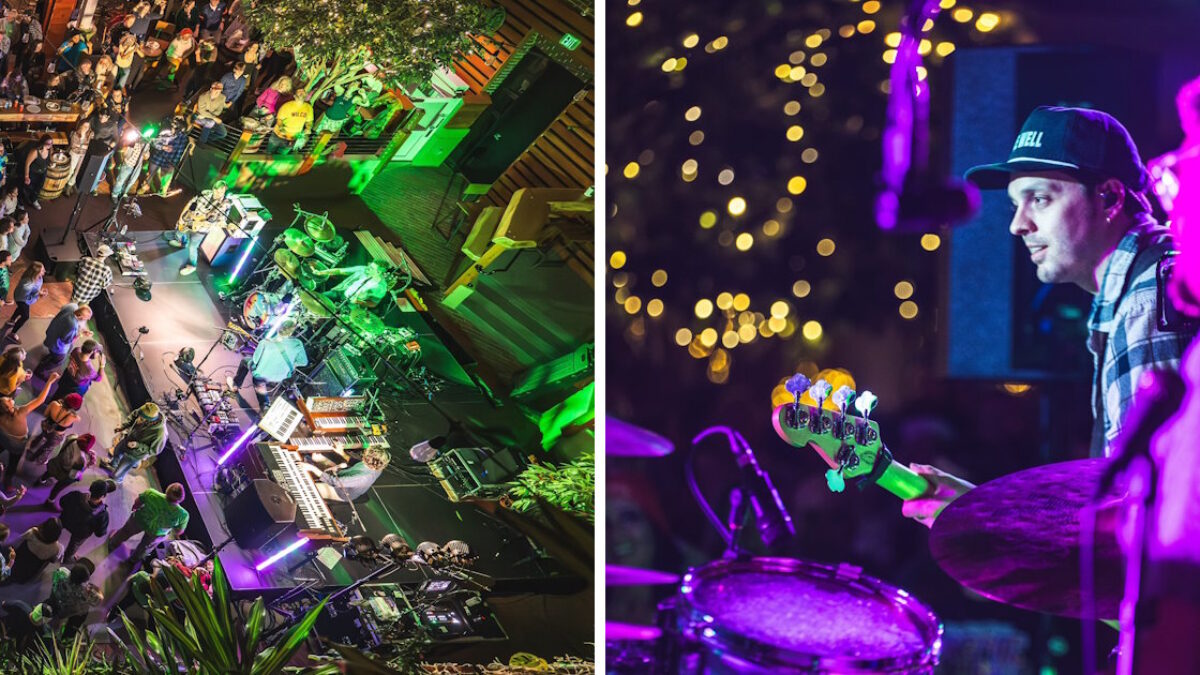 Watch Eggy Jam On Phish Classics At Tree House Brewing Company