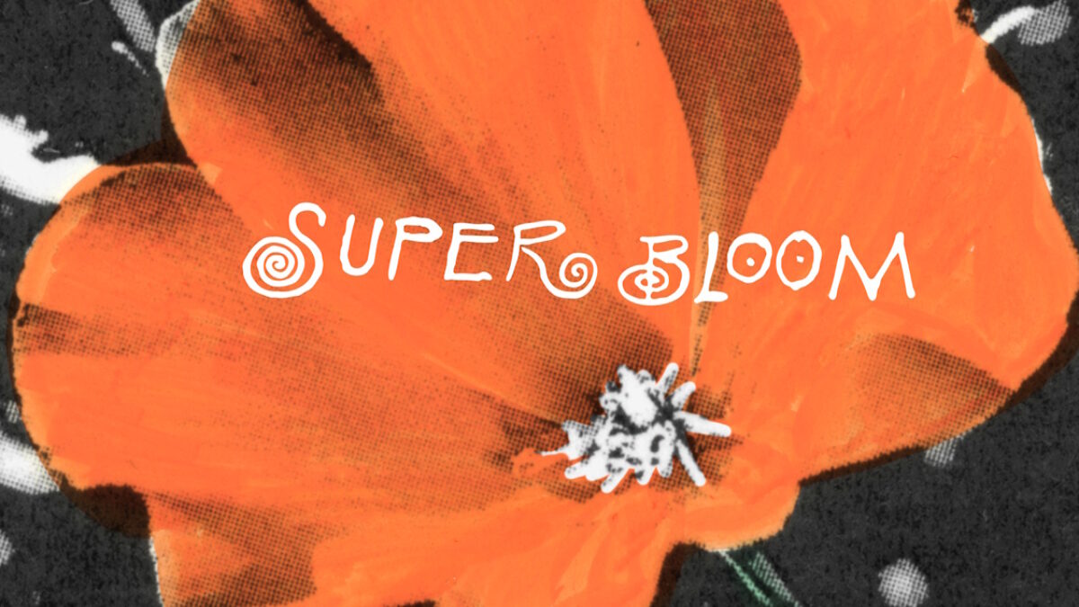 Jim James, King Gizzard, Jenny Lewis & More Contribute To ‘Super Bloom’ Compilation For Los Angeles Wildfires Relief