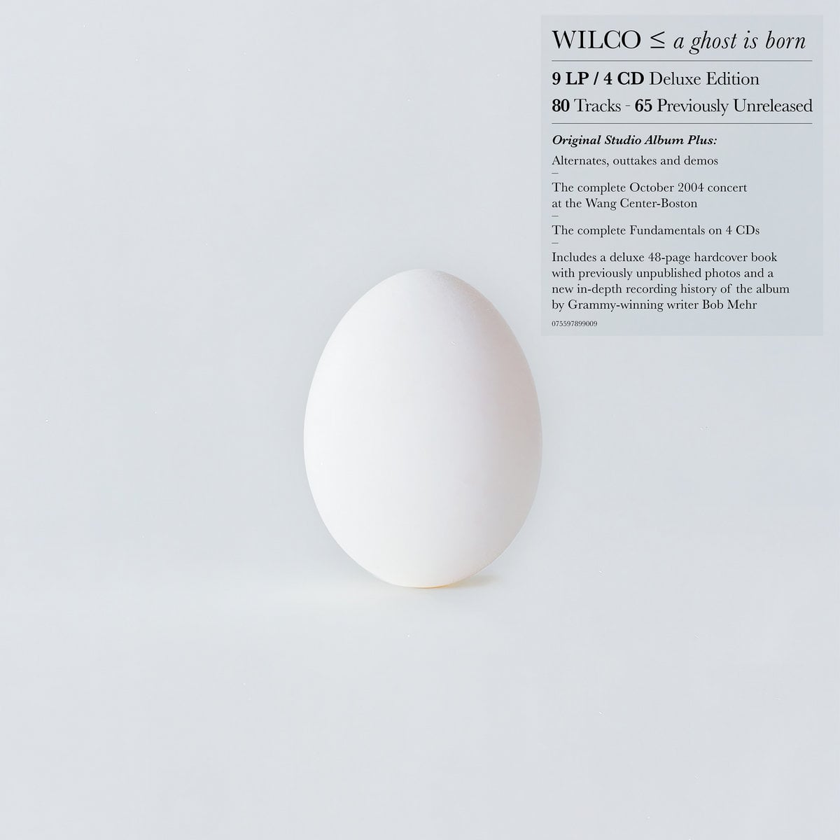 A Ghost Is Born (Expanded Edition) wilco