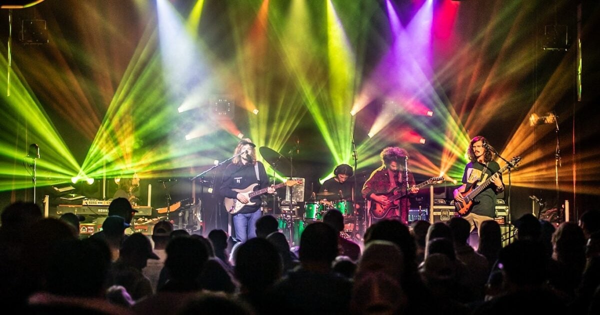 Dogs in A Pile live Spring 2025