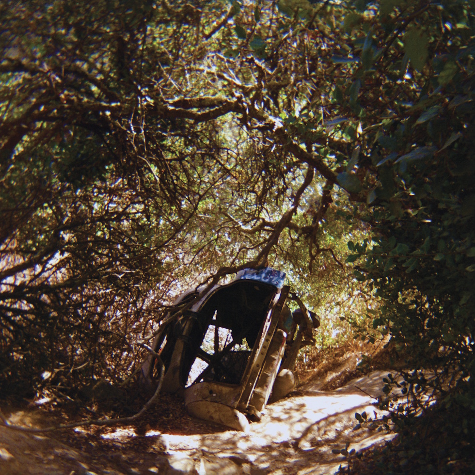 Album-Art-Ty-Segall-Possession