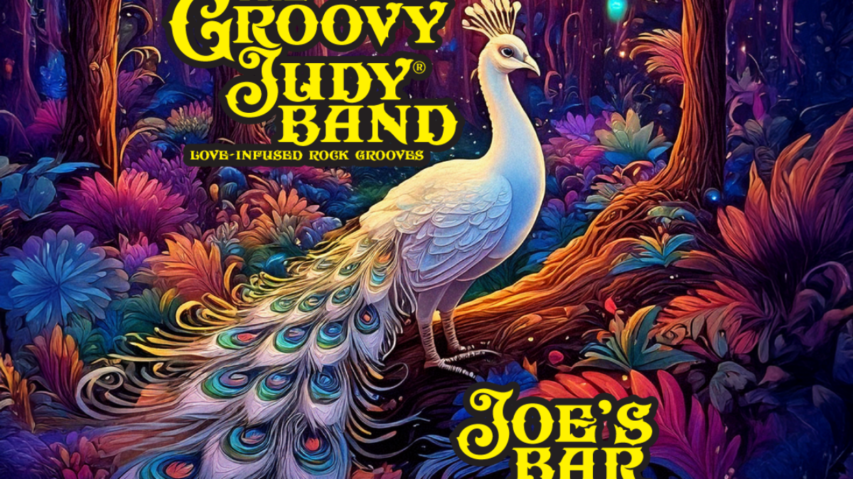 The Groovy Judy Band