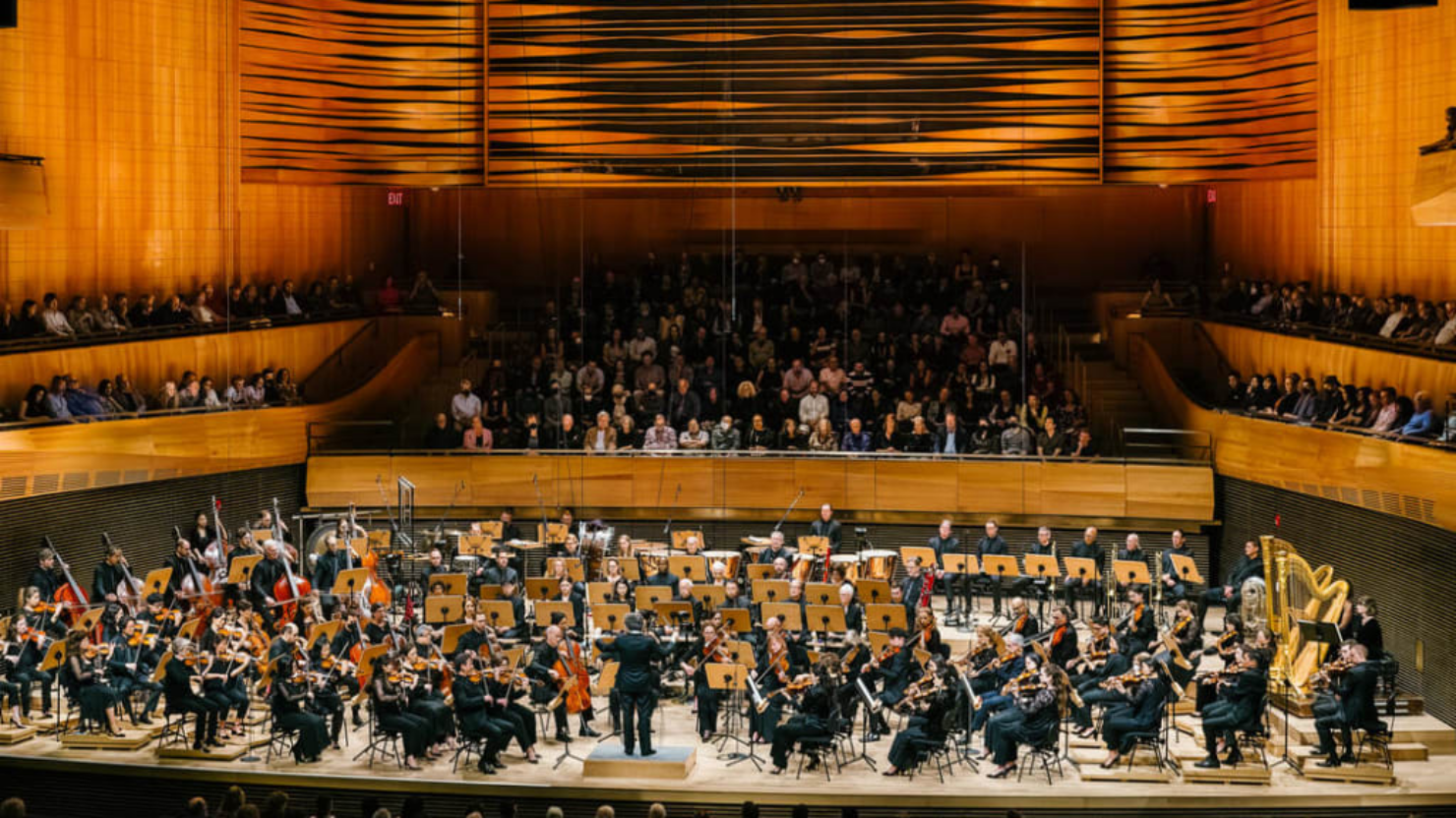 【廃盤】NewYork Philharmonic 65枚組 ニューヨーク・フィル New York Philharmonic Orchestra, David Geffen Hall at