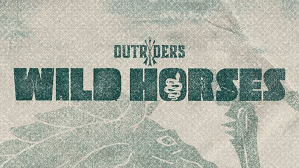 Wild Horses