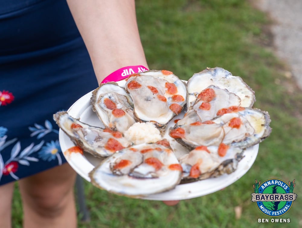 Oysters Annapolis Baygrass 2025 Ben Owens