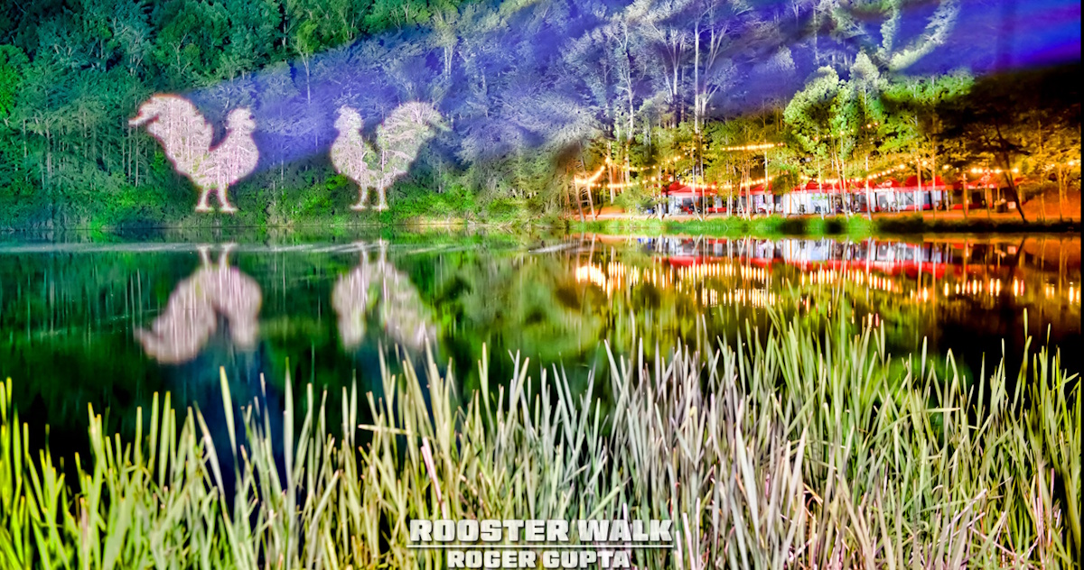 Rooster Walk Roger_Gupta