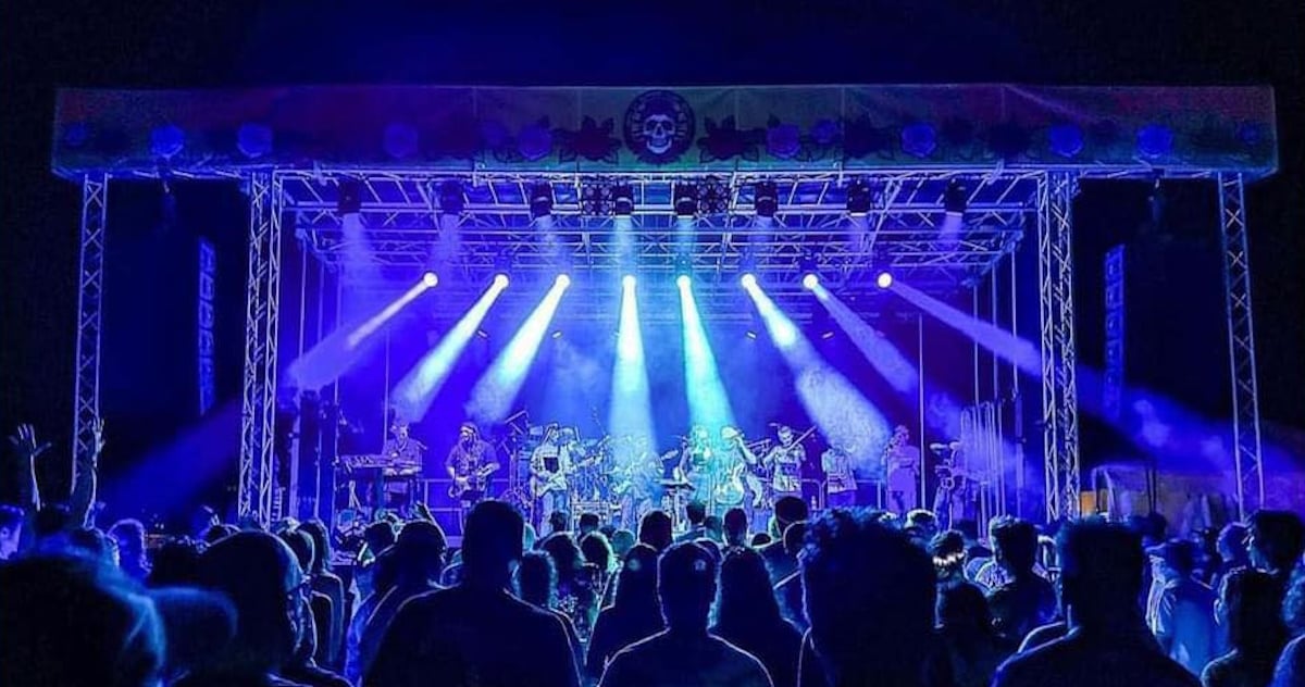 Dead Of Summer Music Festival Live 2024