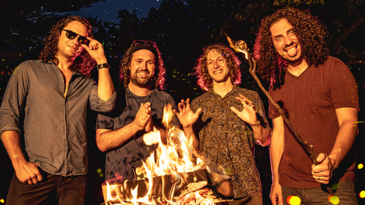 Pigeons Playing Ping Pong