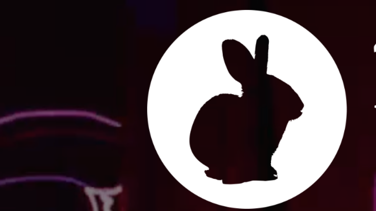 Rabbits Eat Lettuce